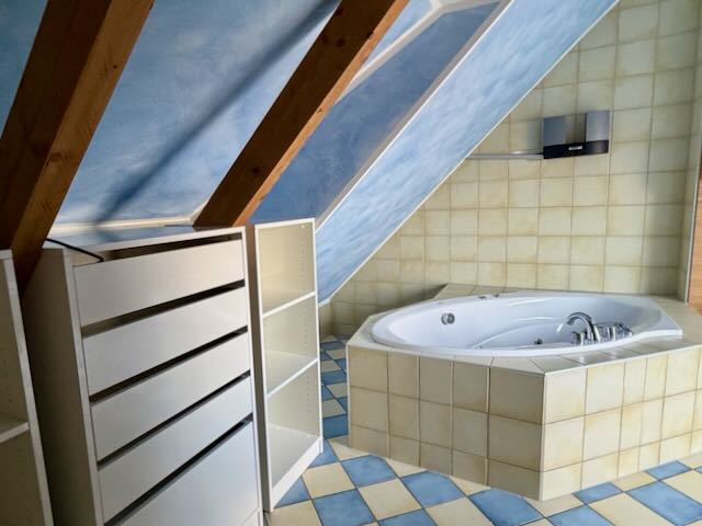 Penthouse in Lieskau Einbauschränke im Bad