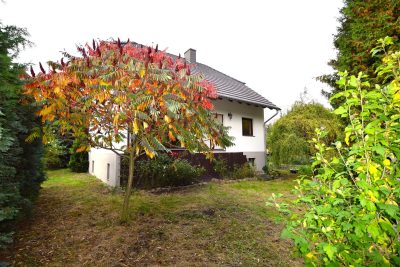 Referenz Teutschenthal OT Asendorf